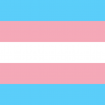 Read more about the article Trans Day of Visibility