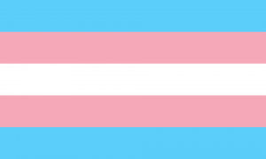 Read more about the article Trans Day of Visibility